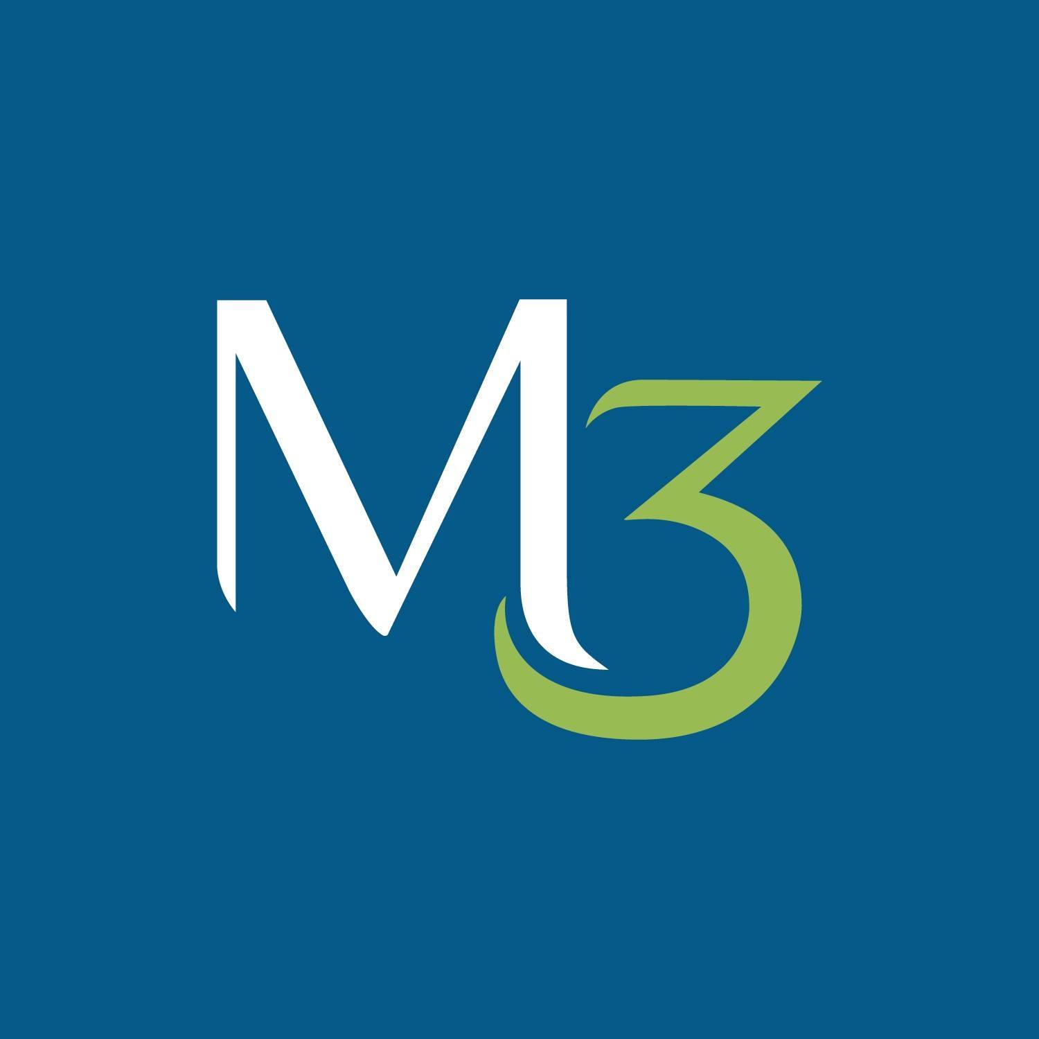 M3 Business Service Network LLC